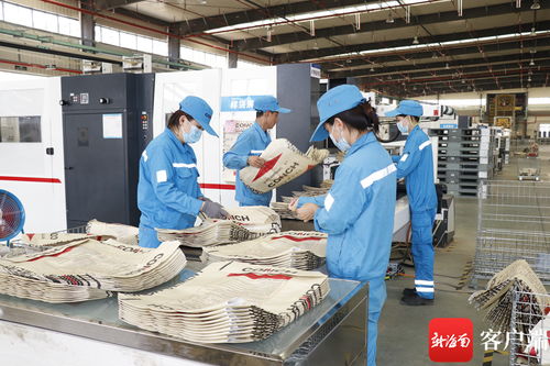 抓項目促投資 干勁十足 昌江企業(yè)開足馬力抓生產(chǎn)