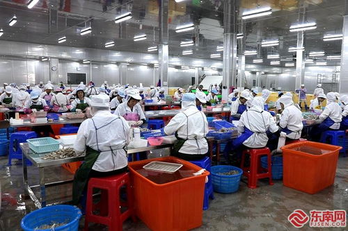 民營經濟高質量發(fā)展 詔安恒暉水產 專注水產定制化加工 年產值超10億元