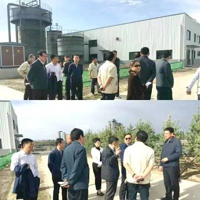 內蒙古自治區(qū)黨委常委、呼和浩特市委書記云光中一行蒞臨萬德斯環(huán)保項目現(xiàn)場視察指導