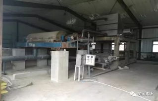 環(huán)保督察下的警示 龍頭企業(yè)污染、示范項(xiàng)目失靈與新型技術(shù)的破局之路